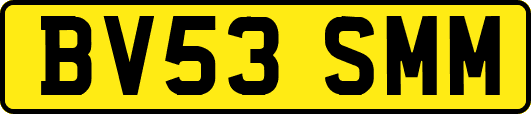 BV53SMM