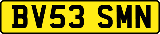 BV53SMN