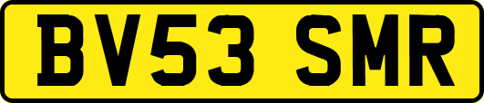 BV53SMR