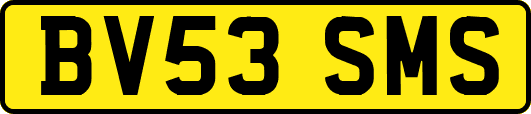BV53SMS