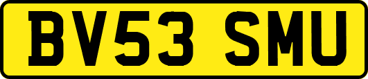 BV53SMU