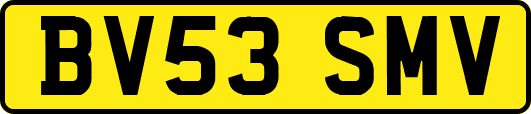 BV53SMV