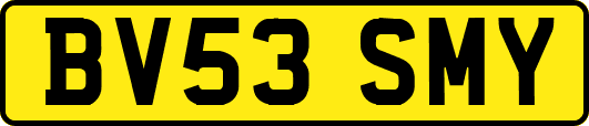 BV53SMY