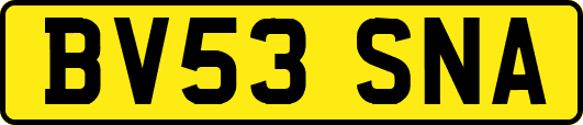 BV53SNA