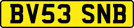 BV53SNB
