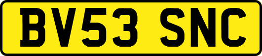 BV53SNC