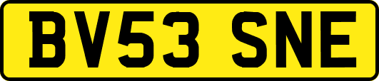 BV53SNE