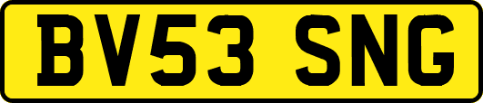 BV53SNG