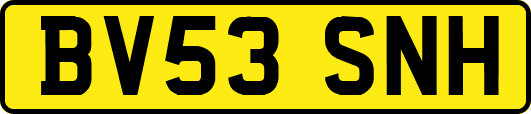 BV53SNH