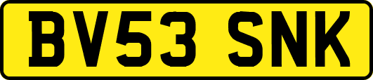 BV53SNK