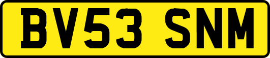 BV53SNM