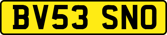 BV53SNO