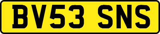 BV53SNS