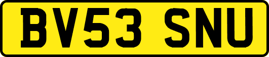 BV53SNU
