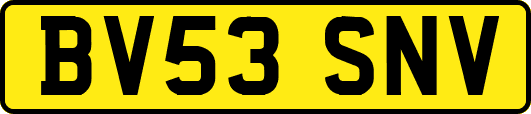 BV53SNV