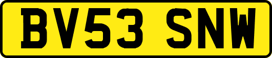 BV53SNW
