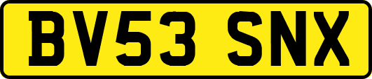 BV53SNX