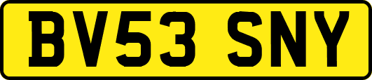 BV53SNY