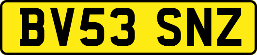 BV53SNZ