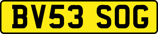 BV53SOG