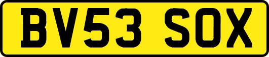 BV53SOX