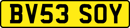 BV53SOY