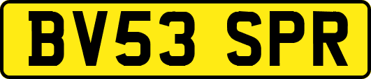 BV53SPR