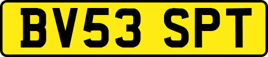 BV53SPT