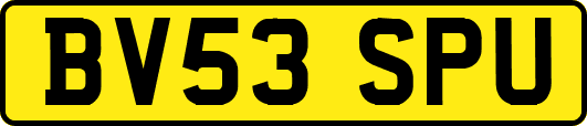 BV53SPU