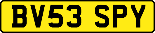 BV53SPY