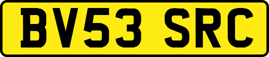 BV53SRC
