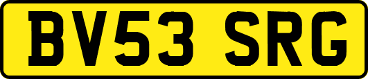 BV53SRG
