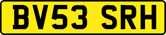 BV53SRH