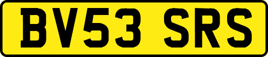 BV53SRS