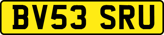 BV53SRU