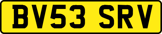 BV53SRV