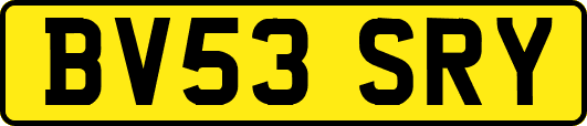 BV53SRY