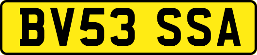BV53SSA