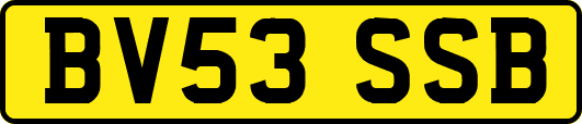 BV53SSB