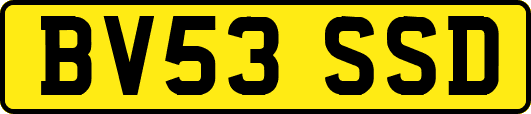 BV53SSD
