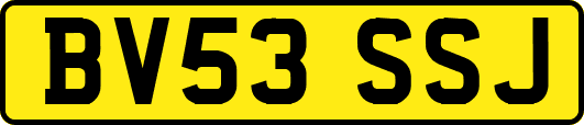 BV53SSJ
