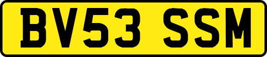 BV53SSM