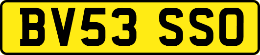 BV53SSO