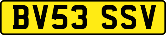 BV53SSV