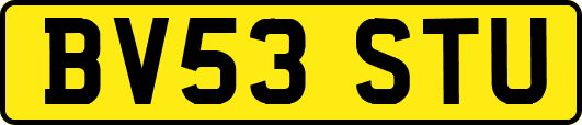 BV53STU