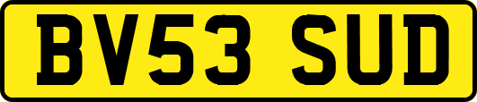 BV53SUD
