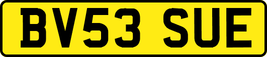 BV53SUE