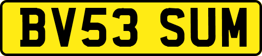 BV53SUM