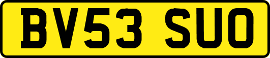 BV53SUO