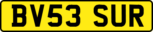 BV53SUR